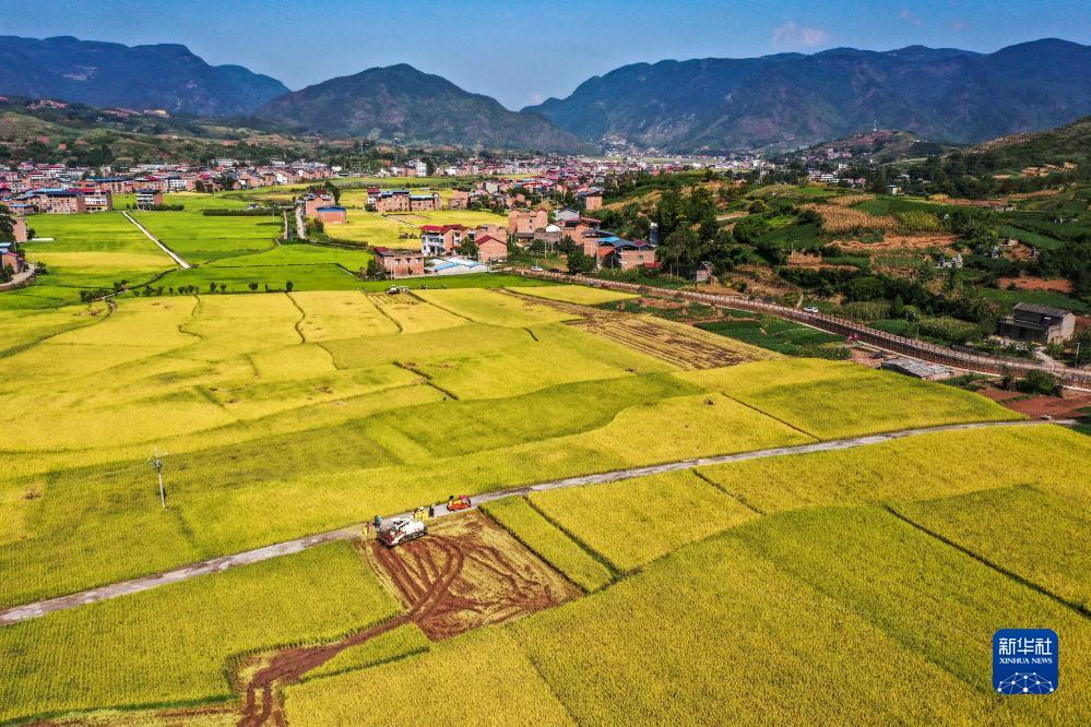 威尼斯登录地址